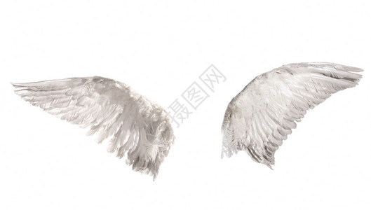 在白色背景上孤立的天使翅膀图片