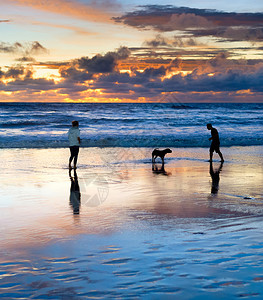 带着狗在海滩玩耍的情侣图片