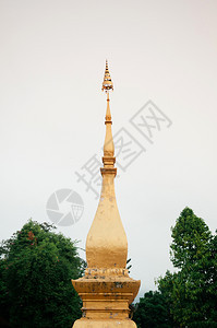 金色的树背景在华森苏哈拉姆寺庙蓝普拉邦laos图片