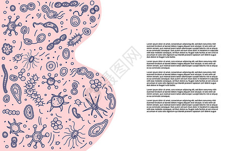用于收集微生物的横幅模板用于小册子和卡片的矢量涂鸦样式构成图片