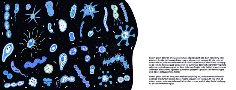 细菌胞矢量图图片
