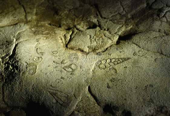 海洋化石arwh洞穴cerapunjemghalyind海洋化石inda图片