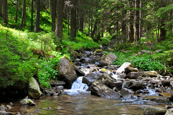 山河和岩岸上的隐形森林景色美观优夏季背景图片