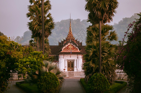 apr42019luangprbnglosngprbng皇家宫殿博物馆和平的上午在棕榈树中间的主要建筑图片