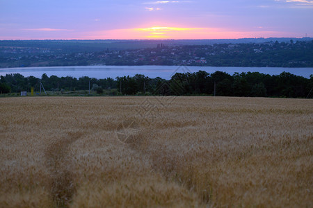 小麦田上日出美丽的乡村风景图片