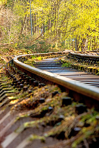 深角的草原森林中铁路有违秩序图片
