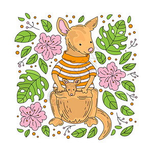 澳州袋鼠插画