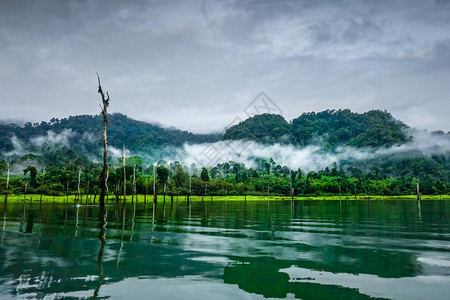 泰国考索公园的雪兰湖上薄雾蒙蒙的早晨泰国考索公园雪兰湖上薄雾蒙蒙的早晨图片