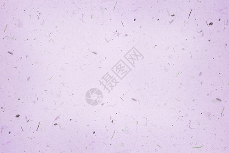 紫色纸质背景图片