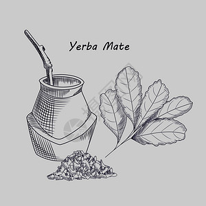 叶尔巴伴侣饮酒的概念与背景隔绝卡拉巴什和布吉用于传统南美饮料茶的雕刻风格矢量说明name图片