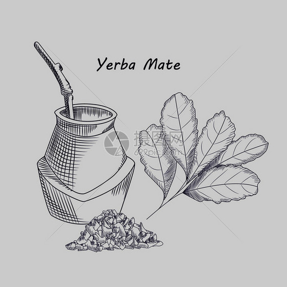 叶尔巴伴侣饮酒的概念与背景隔绝卡拉巴什和布吉用于传统南美饮料茶的雕刻风格矢量说明name图片