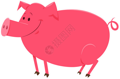 可爱快乐猪或小养殖动物品的漫画插图图片