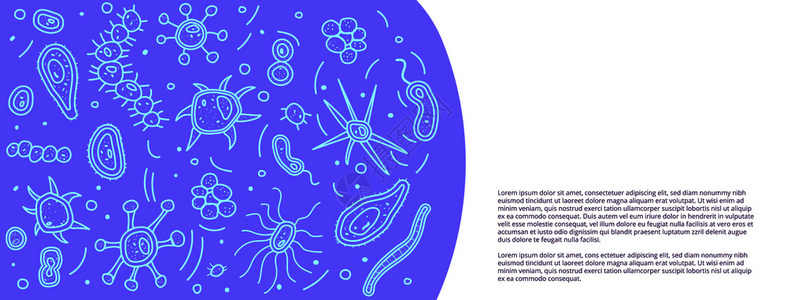 带有细菌胞构成的社交媒体横幅模板矢量dole样式背景图片