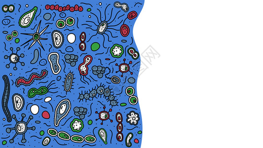 含有文本空格的细菌胞条微生物收集矢量dole样式组成图片