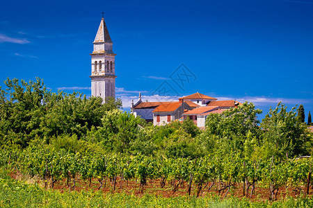 VodnjaTl镇和绿地景观Croati州Isr地区最高塔图片