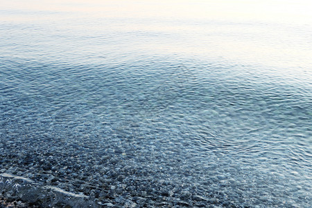 海水底下石块图片