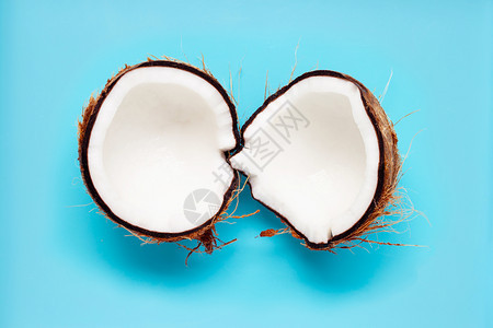 蓝色背景的椰子顶部视图图片