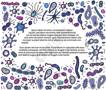 带文字空间的细菌胞边框微生物收集矢量涂鸦样式组成图片