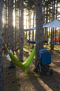 森林的树上挂着吊床森林的阳光清晨有许多吊床户外休息的概念图片
