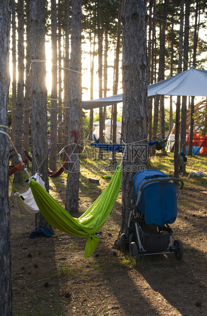 森林的树上挂着吊床森林的阳光清晨有许多吊床户外休息的概念图片