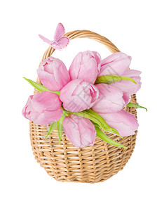 一束粉红色的郁金香花用天然柳条和粉红色蝴蝶做成的有垂饰花篮在白色背景上隔离开来图片