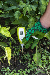 土壤湿度计测试器用数字设备测量土壤湿度花园中的女农民业新技术的概念图片