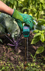 土壤湿度测量仪用数字设备测量土壤湿度氮和hp花园中的女农民业新技术的概念图片