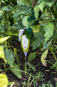 土壤湿度计测试器用数字设备测量土壤湿度农业新技术的概念图片