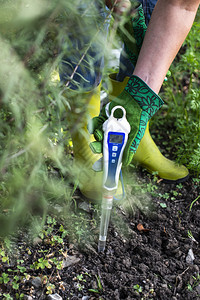 以数字设备测量土壤农妇在花园里图片