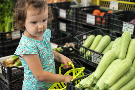 孩子在篮里收集苏奇尼在蔬菜市场里购物图片