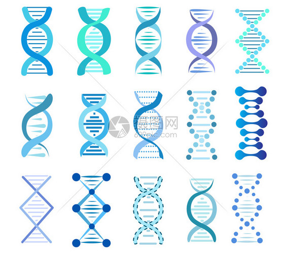 dna片段集种群矢量说明图片