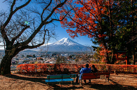 2018年的fujiyoshdajpnfuji山和红色的树图片