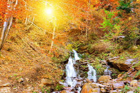 秋天森林的山瀑布透过树叶的黄明亮太阳光芒可见图片