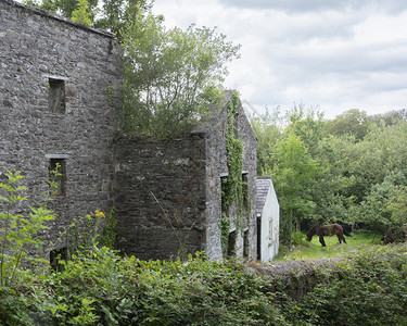 在伊莱兰Kery半岛旧房子的废墟附近图片