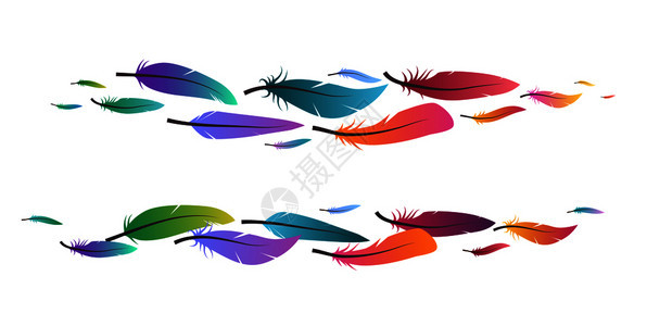 带色羽毛的刷子组邀请函横幅和设计所用的矢量boh元素组带色羽毛的刷子组图片