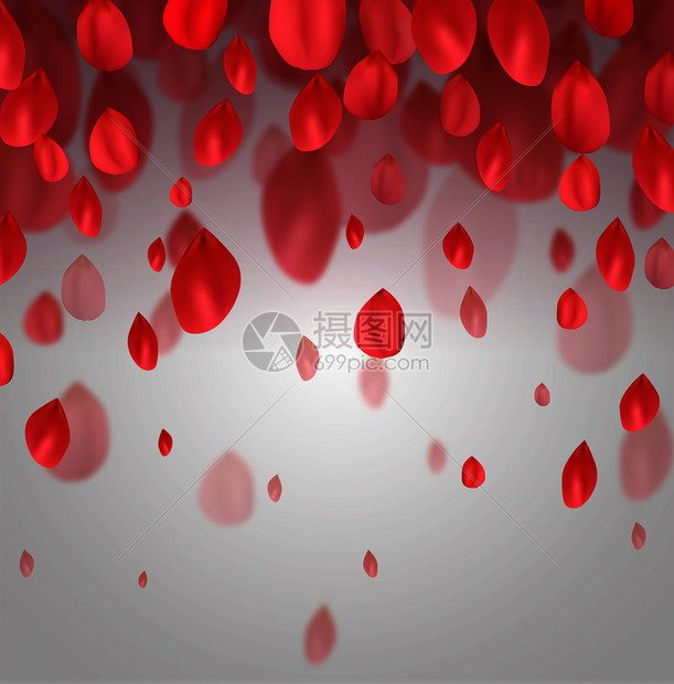 红花瓣的明信片红花瓣的明信片图片