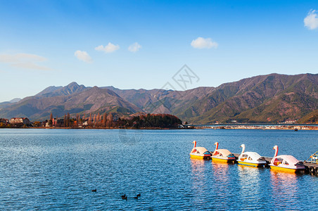 冬天美丽的湖川口子与天鹅水轮船和山景图片