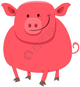 漫画插图可爱有趣的猪养动物品图片