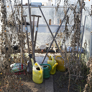水罐和花园工具在冬季与干燥的植物一起在温室中等待图片