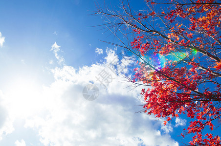 白云和太阳耀斑日月色彩多的季节变化概念自然景象壁纸图片