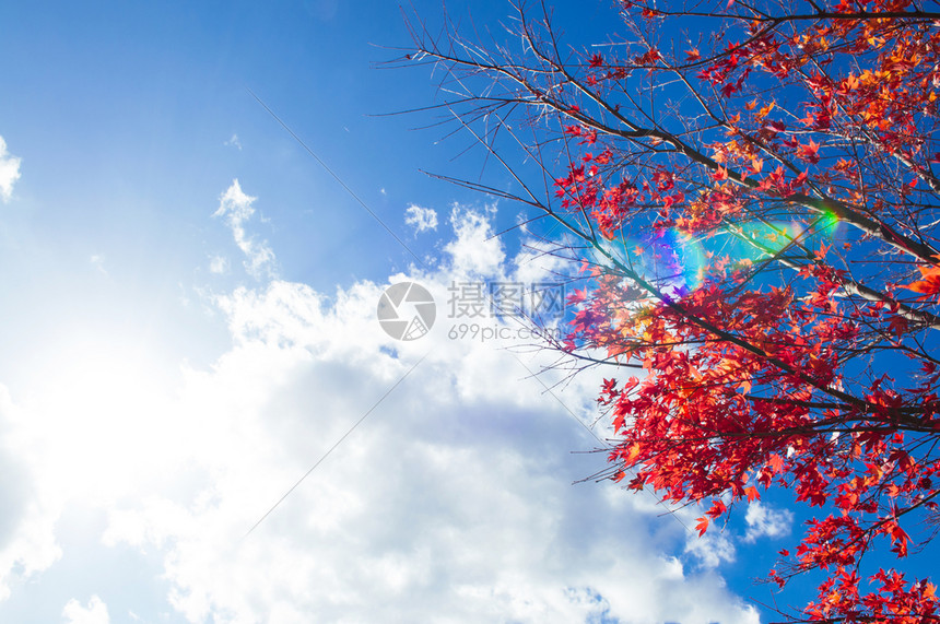 白云和太阳耀斑日月色彩多的季节变化概念自然景象壁纸高清图片下载 正版图片 摄图网