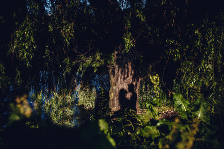 萎靡的样子图片