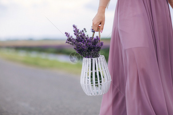 穿蓝裙子的年轻美女在夏季日落时走户外穿过小麦田时用篮子盛放花朵图片