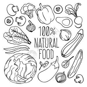 蔬菜单色食物营养矢量插图集图片