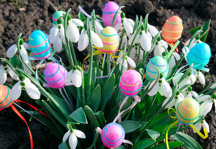 春季背景的雪白花和装饰鸡蛋东方成分图片