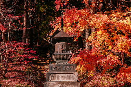 秋天Yamderishkuji寺庙的青铜塔日本雅帕塔马加Yamgt图片