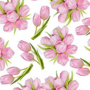 粉红色郁金香花束作为无缝的图案在白色背景上隔离图片