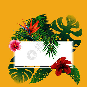 热带树叶和花朵背景设计图片