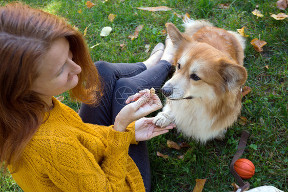 女主和她的爱犬图片