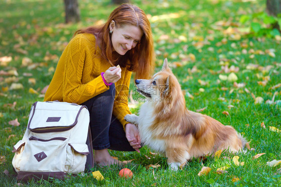 女主和她的爱犬图片